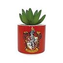 Harry Potter Plant Pot, Stoneware, Red, 150ml