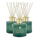 Nicola Spring Scented Reed Diffusers - Luxury Home Bathroom Fragrance Perfume - 200ml - Sage & Seasalt - Pack of 3