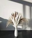 Dried Pampas Grass, 60 Pcs Natural Pampas Grass with 3 Colors Fluffy Swinging Boho Plant 17" Small Flower Bouquet Decorative Flora Arrangement Home Decor for Living Room Balcony Wedding Party