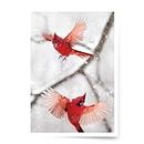 PALM PRESS Photographic Season’s Greetings Cards, Northern Cardinals (6 Cards with White Envelopes)