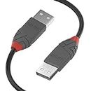 Lindy - Cavo USB 2.0 Tipo A a USB Tipo A, Cavetto USB Anthra Line 0.5 Metri, Tipo Maschio A/A, Velocità di Trasferimento Dati Speed Fino a 480Mbps per Tastiera, Stampante, Fotocamera, Hard Disk