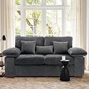 COLAMY Loveseat Sofa Couch, 73" Living Room Love Seat Couch Sofa, Mid-Century Modern Sofa Couch with Pillow Top Armrests and Solid Wood Legs, Removable Back and Seat Cushions (Dark Grey)