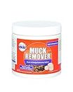 Pond Worx Muck Remover Tablets – 1lb- Formulated for Small Ponds, Water Features - Natural Muck & Odor Reducer – Safe for All Aquatic Life & Terrestrial Life
