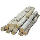 Wilson Decorative White Birch Logs, Natural Bark Wood Home Décor (Set of 12) - 15.5"-17.5" in Length 1"-1.5" Dia.