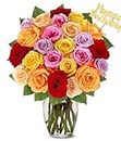 From You Flowers - Two Dozen Rainbow Roses with Birthday Pick with Glass Vase (Fresh Flowers) Birthday, Anniversary, Get Well, Sympathy, Congratulations, Thank You