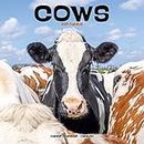 Cows Calendar 2024 Square Farm Animal Wall Calendar - 16 Month: Original Avonside-Kalender [Mehrsprachig] [Kalender]