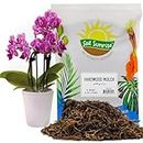 Premium Hardwood Mulch for Houseplants (4 Quarts); Shredded Wood Mulch for Indoor/Outdoor Container Gardening