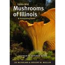 Edible Wild Mushrooms Of Illinois And Surrounding States: A Field-To-Kitchen Guide