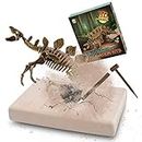 MUSCCCM Dinosaur Dig Kit Stégosaure, Dino Skeleton Fossil Excavation Kit Réaliste Dinosaure Modèle Jouets Éducatifs Cadeau pour Enfants Garçons Filles Cadeau du Nouvel an