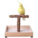 KINTOR Bird Stand Tabletop,Portable Tee Stand, Parrot Play Stand Perch Gym for Small Medium Parrot