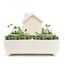 Gift Republic Self Watering House Herb Grow Kit Basil Rosemary Thyme Parsley Seeds Kitchen Garden Gift