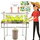 City Greens Full Spectrum 40 Planter Hydroponic Indoor Kit for Homes, Offices, Small Spaces | 3 Full Spectrum (White Lights) - Smart Farming.