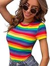 Dream Beauty Fashion Short Sleeve Polyester Blend Round Neck Rainbow Print Fitted Tee, 23" Inches Approx - (Top-Rainbow-L)