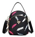 Diva Dale Spacious Casual Cross-Body Sling Bag For Women (black feather)