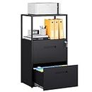 Letaya 2 Drawer File Cabinets with Lock,Metal Printer Stand Filing Organization Cabinets for Home Office,Hanging Files Letter/Legal/F4/A4 Size (Black)