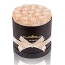 NATROSES Handmade Preserved Roses in a Box, Long Lasting Roses That Last Up to 3 Years, Yellow Real Roses Mothers Day Valentines Day Gifts for Her (Champagne)