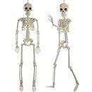 2 Piece Halloween Skeleton Decorations, 26 inch Posable Skeleton Halloween Prop for Haunted House Indoor Outdoor Decoration Spooky Decor, Full Body with Movable Joints