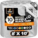 Heavy Duty Poly Tarp - 8' x 10' - 10 Mil Thick Waterproof, UV Blocking Protective Cover - Reversible Silver and Black - Laminated Coating - Grommets - by Xpose Safety