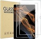 DIEBI 2- Pack Tempered Glass Screen Protector for Samsung Galaxy Tab S8 Plus/Galaxy Tab S7 FE 2021 / Galaxy Tab S7 Plus 12.4 Inch against from dust and scratch
