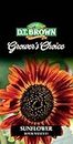 DT Brown Grower's Choice Royal Velvet F1 Sunflower Seeds