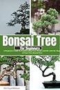 Bonsai Tree For Beginners: A Beginners Guide In Transforming Your Home and Life with the Magic of Your First Bonsai Tree