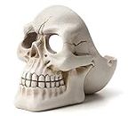 Inara Creation Skull Cigarette Ashtray Smoking for Home, Office and Bar (White)