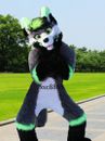 Long Fur Husky Dog Fox Mascot Costume Fursuit Halloween Suit Cosplay #677