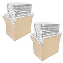 PACK4YA Thermo Chill Double Insulated Carton with Foil Insulated Bag Liner, Cold Shipping Box for Frozen Food, Cooler Box for Posting, Small Parcel Postage Postal Mailing Boxes 250x155x140 mm (2pcs)