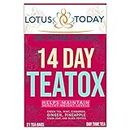 14 Day TEATOX, weight management Detox tea with Green Tea, Cinnamon and Ginger, 21 Tea bags (63 Tea bags)