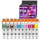 MM MUCH & MORE Compatible Ink Cartridge Replacement for Canon PGI-9 PGI9 to Used with Pro 9500-Mark II 9500 Printers (10-Pack, PBK + MBK + C + M + Y + PC + PM + G + GY + R)