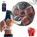 Annuod Electronic Boxing Trainer, Smart Music Boxing Machine for Kids And Adults, Wall Mounted Boxing Machine with Boxing Gloves, Home Gym Setup (Material : Style 2), 20240319