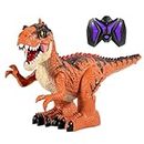 MAGICDINOSAUR Toys for Kids Remote Control Dinosaur with Spray,Electric Realistic RC T-Rex Lights & Sounds,Rechargeable Big Dino Robot Fire Breathing,Great Gift Boys Girls Age 5-7 8-12 Years Orange