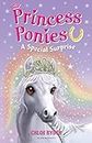 Princess Ponies a Special Surprise