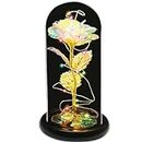 Beauty and The Beast Rose Lasts Forever in A Glass Dome Artificial Colorful Roses Flower Gift for Mother's Day Valentine's Day Wedding Anniversary Girl's Birthday (Rainbow Colorful)