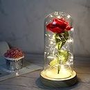 La Belle et la Bête Rose, Forever Rose Fleurs dans Un Dôme Transparent avec Bande Lumineuse LED, pour la Saint-Valentin Fête de Mariage Fête des mères Décorations de Bureau à Domicile