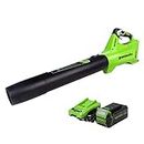 Greenworks 40V Axial Blower (450 CFM / 120 MPH), 4Ah USB Battery and Charger, BL40B411