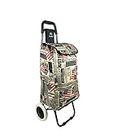 EverBest® Foldable Shopping Trolley Bag with Wheels | Grocery, Fruits & Vegetables cart/Basket | 38 litres Capacity (Flag Print)