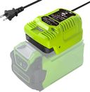 Fast Battery Charger for Greenworks 40V Battery Mini Charger Station with LED