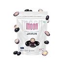 Moon Freeze Dried Jamun Cubes | Healthy Jamun Snack | 100% Natural, Vegan, No Preservatives, No Added Sugar Gluten Free Snack for Kids and Adults | (16Gm) Pack of 1