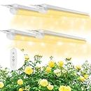 SHOPLED 2FT LED Grow Light, 80W(4 × 20W) T8 Full Spectrum LED Grow Lamp for Sunlight Replacement with AU Plug, Linkable Warm White Plants Growing Lights for Indoor Plant, Greenhouse, Seedling-4Pack