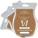 Weathered Leather Scentsy Wickless Candle Tart Bar 3 Pack