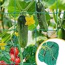 Big Size Creeper net for Plant Climbing, 5 feet x 5 feet (Pack of 1)