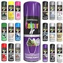 Classic Signature - 1 x All Purpose Proper Purple Aerosol Spray Paint 250ml Quick Drying Spray, Fast Dry and Excellent Coverage for Wood, Metal, Plastic and more
