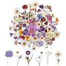 120Pcs Flower Stickers for Scrapbooking,Natural Flowers Aesthetic Scrapbook Stickers, Transparent Floral Stickers Set for Scrapbook Supplies,Craft, Card, Laptop, (60 Styles)