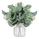 Weldomcor 24 Pcs Artificial Seeded Eucalyptus Silver Dollar Leaves Fake Plants Stems Artificial Branches Greenery Foliage Plants for Garland Decorations Garden Wedding