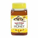 Baidyanath Honey | Natural Immunity Booster | No Added Sugar - 500g