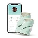 Owlet Smart Sock Plus - Baby Monitor - Track Heart Rate, Oxygen and Sleep Trends (0-5 Years) - Mint Green