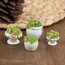 iDream Dollhouse Plant Miniature Bonsai Plant Mini Potted Plant Flower Model Tiny Fake Greenery Ornament Dollhouse Furniture for Toddlers Girls and Boys (Classic Style) (Set of 4)