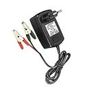 PGSA2Z AC DC 12V 2Amp Power Charger Adapter with Crocodile Clip