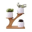 kiss me Ceramic Planter with Wood Stand, Succulent Container Planter Outdoor Indoor Plant Pots with Drainage Holes, Creative Owl Style
